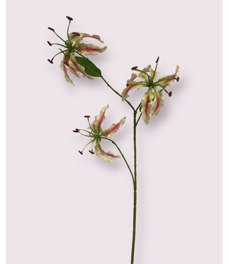 Silk Flowers by JJ gloriosa | groen roze | 64 centimeter | Per stuk