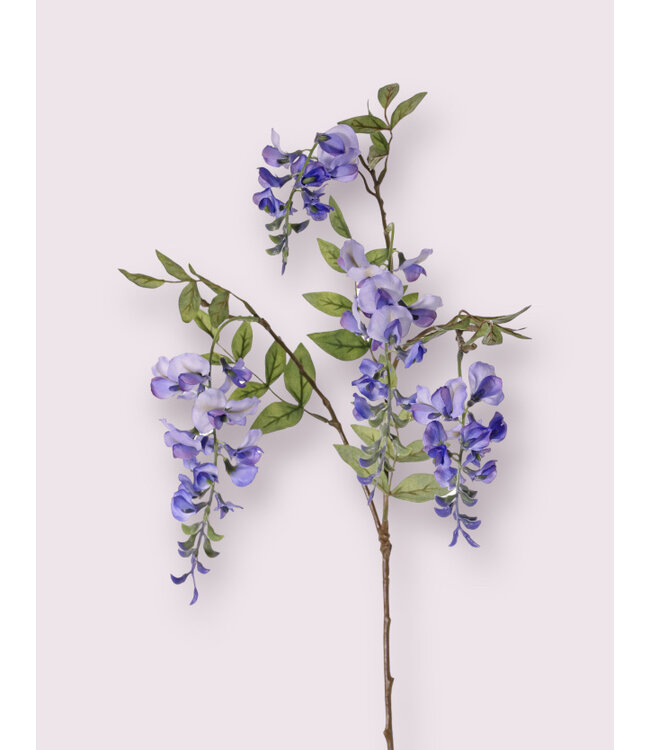 wisteria | blauw | 80 centimeter | Per stuk te bestellen