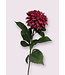 dahlia  | roze | 70 centimeter | Per stuk te bestellen