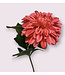 dahlia  | roze | 70 centimeter | Per stuk te bestellen