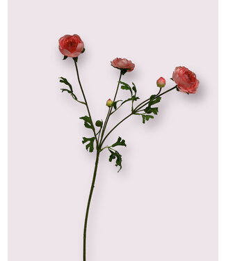 Silk Flowers by JJ ranonkel | roze | 65 centimeter | Per stuk