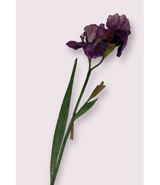 Silk Flowers by JJ iris | paars | 70 centimeter | Per stuk