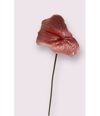 Silk Flowers by JJ anthurium  | roze | 70 centimeter | Per stuk