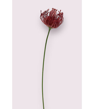 Silk Flowers by JJ protea | fuchsia | 58 centimeter | Per stuk