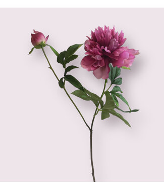 Silk Flowers by JJ pioen | roze | 65 centimeter | Per stuk