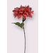 dahlia | roze | 62 centimeter | Per stuk te bestellen