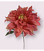 dahlia | roze | 62 centimeter | Per stuk te bestellen