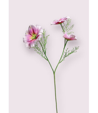 Silk Flowers by JJ cosmea | roze | 65 centimeter | Per stuk