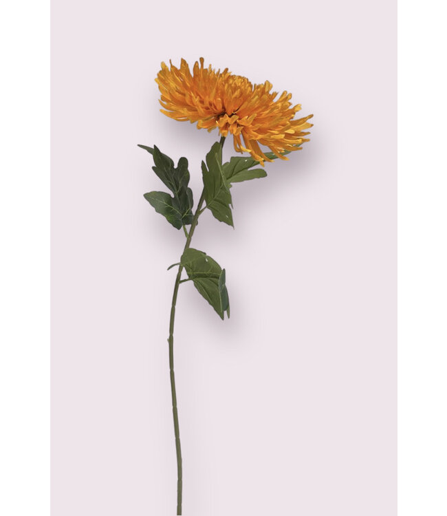 chrysant | oranje | 65 centimeter | Per stuk te bestellen