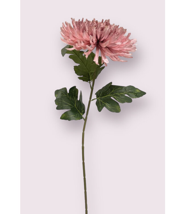 chrysant | roze | 65 centimeter | Per stuk te bestellen