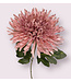 chrysant | roze | 65 centimeter | Per stuk te bestellen