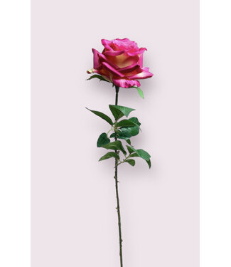 Silk Flowers by JJ roos | roze | 75 centimeter | Per stuk