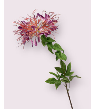 Silk Flowers by JJ kattensnor | fuchsia | 85 centimeter | Per stuk