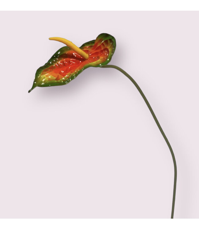 anthurium | oranje | 74 centimeter | Per stuk te bestellen