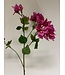 bougainvillea | roze | 91 centimeter | Per stuk te bestellen