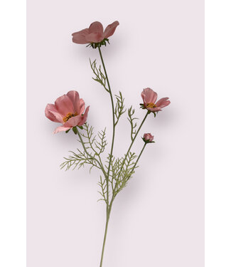 Silk Flowers by JJ cosmea | roze | 95 centimeter | Per stuk