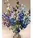 boeket dazzling delphiniums | blauw