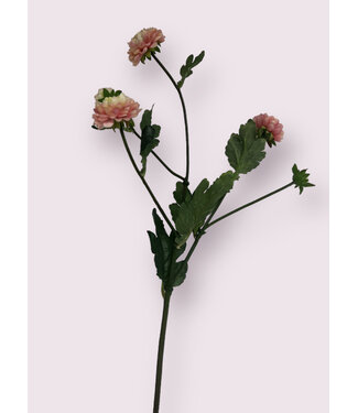 Silk Flowers by JJ aster|  licht roze | 68 centimeter | Per stuk