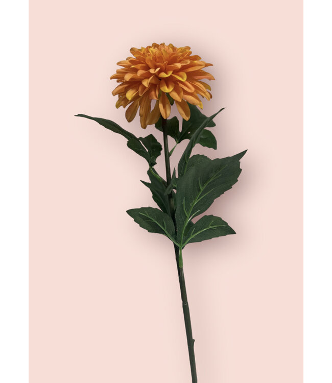 dahlia  | oranje | 70 centimeter | Per stuk te bestellen