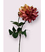 dahlia  | fuchsia | 62 centimeter | Per stuk te bestellen