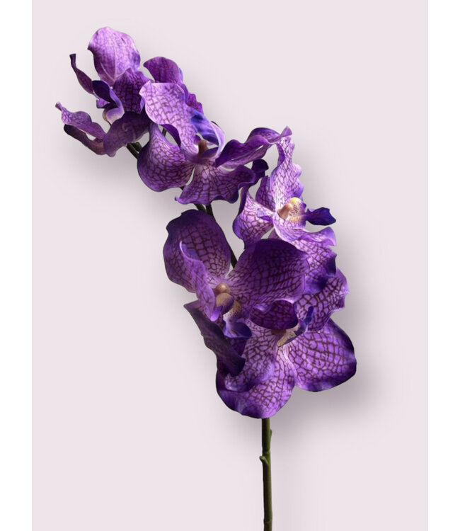 orchidee | paars| 78 centimeter | Per stuk te bestellen