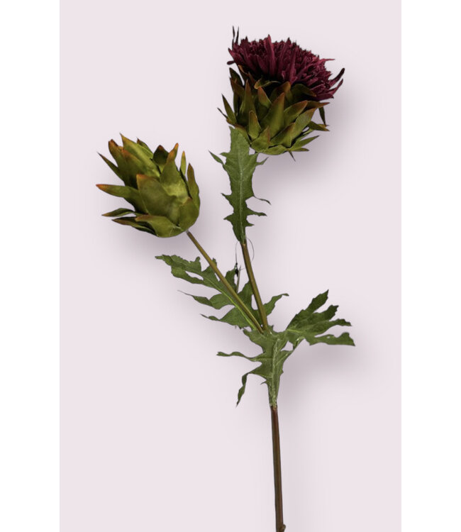 distel | paars | 54 centimeter | Per stuk te bestellen