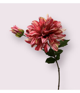 Silk Flowers by JJ dahlia | fuchsia | 70 centimeter | Per stuk