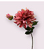 dahlia | fuchsia | 70 centimeter | Per stuk te bestellen