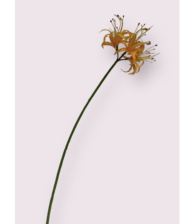 nerine | zalm | 90 centimeter | Per stuk te bestellen