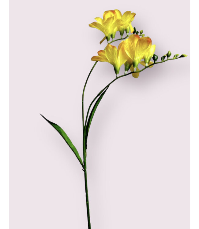 freesia | geel | 66 centimeter | Per stuk te bestellen