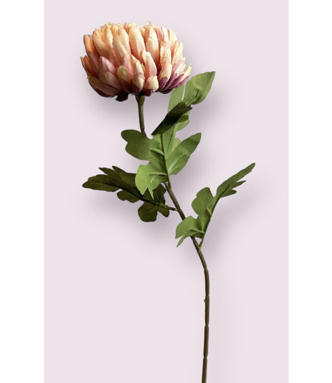 chrysant | mauve | 76 centimeter | Per stuk te bestellen