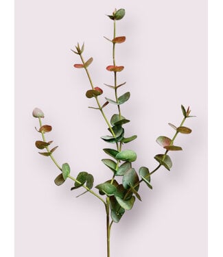 Silk Flowers by JJ eucalyptus | groen roze | 60 centimeter | Per stuk