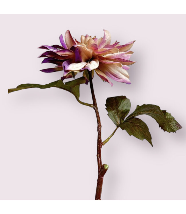 dahlia | lila | 40 centimeter | Per stuk te bestellen