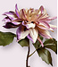 dahlia | lila | 40 centimeter | Per stuk te bestellen