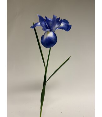 Silk Flowers by JJ iris | blauw | 55 centimeter | Per stuk