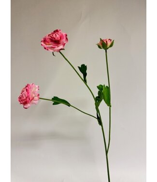 Silk Flowers by JJ ranonkel | roze | 60 centimeter | Per stuk