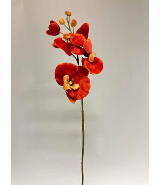 Silk Flowers by JJ orchidee | orange | 75 centimeter | Per stuk