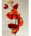 orchidee | orange | 75 centimeter | Per stuk te bestellen