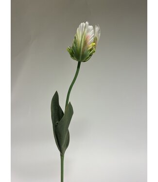 Silk Flowers by JJ tulp | wit groen | 64 centimeter | Per stuk