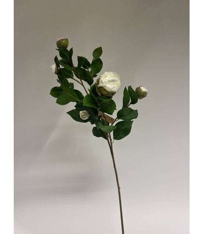 camelia in knop | wit | 70 centimeter | Per stuk te bestellen