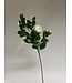 camelia in knop | wit | 70 centimeter | Per stuk te bestellen