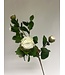 camelia in knop | wit | 70 centimeter | Per stuk te bestellen