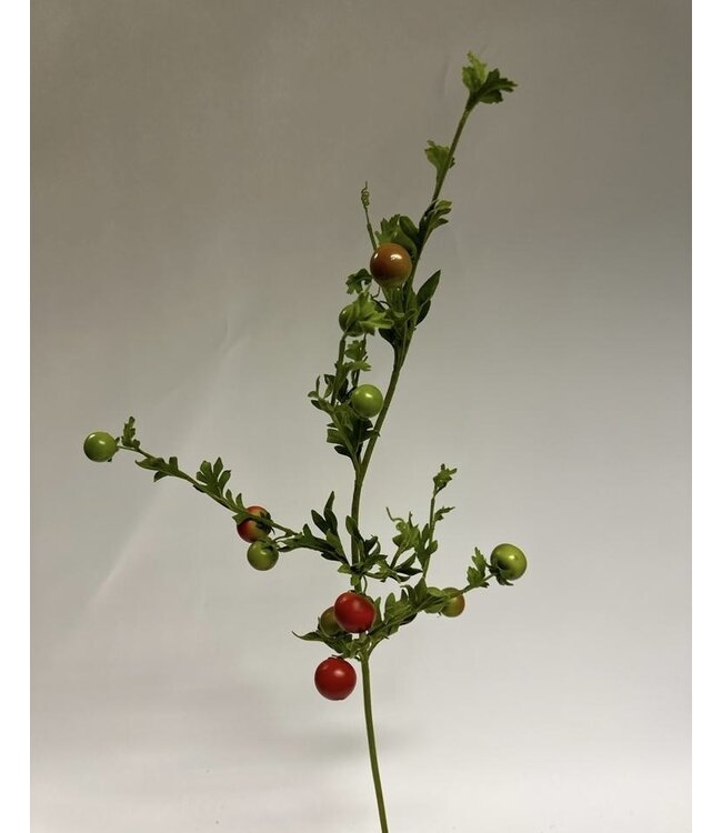 tomaten tak | rood | 82 centimeter | Per stuk te bestellen