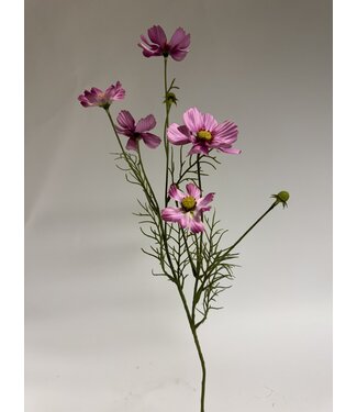 Silk Flowers by JJ cosmea | roze | 72 centimeter | Per stuk