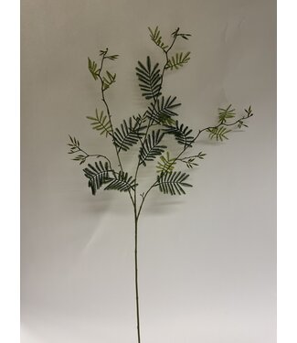 Silk Flowers by JJ mimosa blad | groen | 110 centimeter | Per stuk