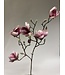 magnolia | roze | 80 centimeter | Per stuk te bestellen