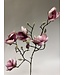 magnolia | roze | 80 centimeter | Per stuk te bestellen