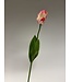 tulp | roze wit | 64 centimeter | Per stuk te bestellen