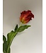 parkiet tulp | rood | 83 centimeter | Per stuk te bestellen