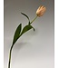 tulp | lroze | 66 centimeter | Per stuk te bestellen